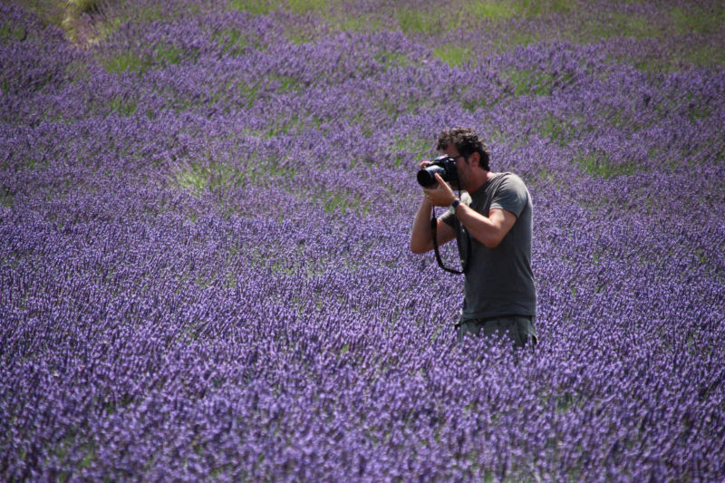 Lavanda | Provenza | Marco Carulli