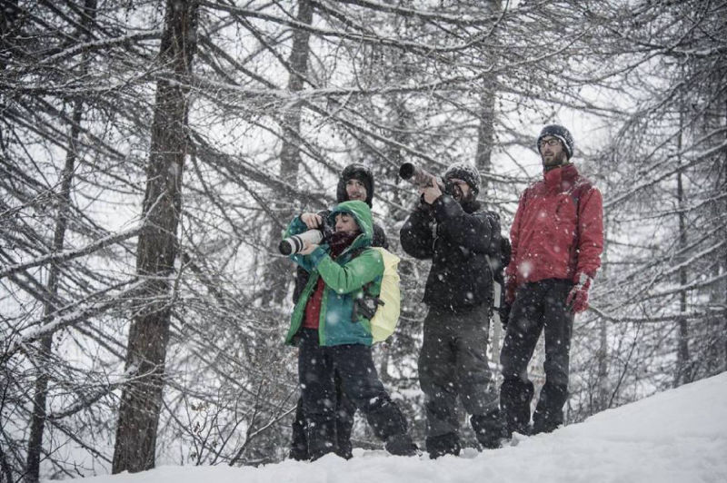 Nikon School | Marco Carulli | Montagna